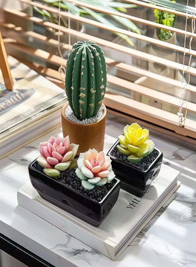 HappyFiller حصى أسود صغير من هابي فيلر، وزن 0.88 رطل، أحجار صغيرة، صخور صغيرة للنباتات العصارية، غطاء تربة للزراعة، أحجار صغيرة، حديقة خيالية، تراريوم، خيزران الحظ، تزيين سطح الصبار، حبيبات قاع حوض السمك - Image 4